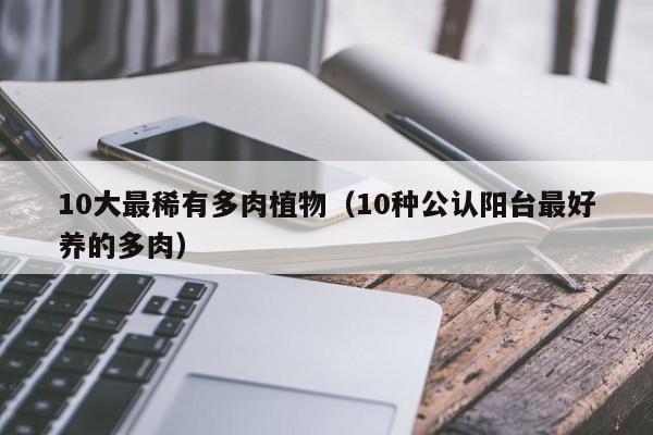 10大最稀有多肉植物（10種公認(rèn)陽臺最好養(yǎng)的多肉）