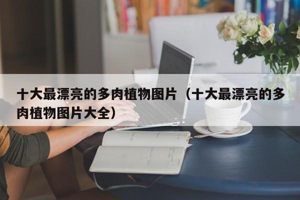 十大最漂亮的多肉植物圖片（十大最漂亮的多肉植物圖片大全）