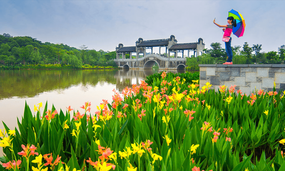 家中養(yǎng)什么植物花卉比較好_花卉家中養(yǎng)植物好比較好的_花卉家中養(yǎng)植物好比較好的品種