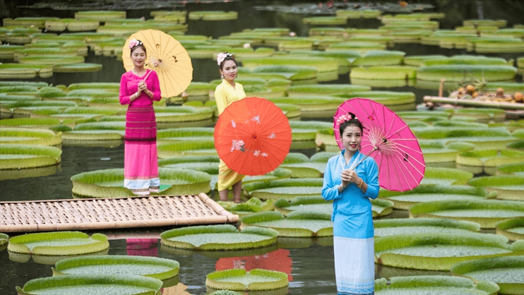 家中養(yǎng)什么植物花卉比較好_花卉家中養(yǎng)植物好比較好的品種_花卉家中養(yǎng)植物好比較好的