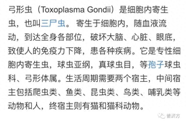 懷孕貓能養嗎_懷孕可以養貓嗎_懷孕期間寵物貓能養嗎