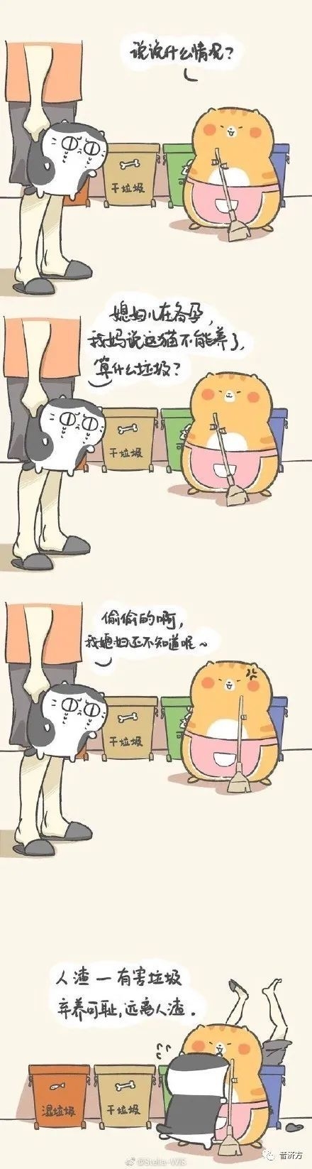 懷孕期間寵物貓能養嗎_懷孕可以養貓嗎_懷孕貓能養嗎