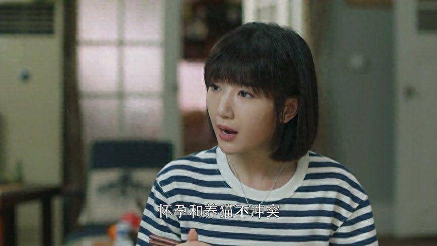 鐘曉芹說懷孕和養貓不沖突，是真的嗎？