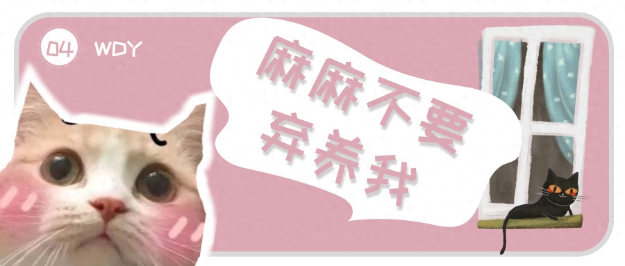懷孕了到底還能不能養貓？