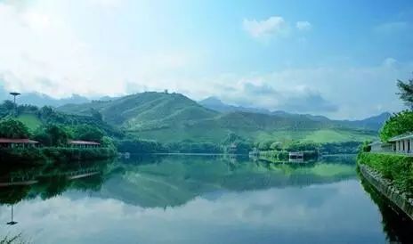 象湖濕地公園作文400字_象湖公園和象湖濕地公園_象湖濕地公園游玩攻略
