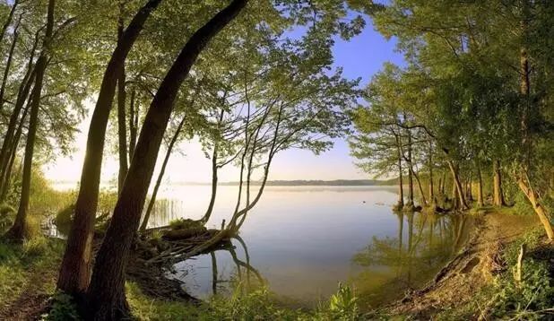 象湖公園和象湖濕地公園_象湖濕地公園作文400字_象湖濕地公園游玩攻略