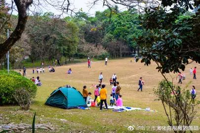 象湖濕地公園要門票嗎_象湖濕地公園游玩攻略_象湖濕地公園坐幾路公交車