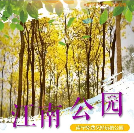 象湖濕地公園游玩攻略_象湖濕地公園坐幾路公交車_象湖濕地公園要門票嗎