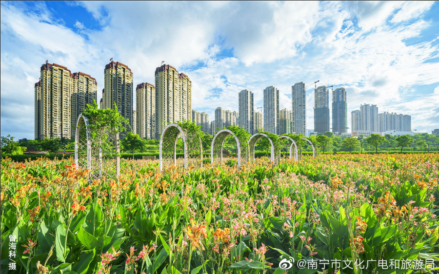 象湖濕地公園要門票嗎_象湖濕地公園游玩攻略_象湖濕地公園坐幾路公交車