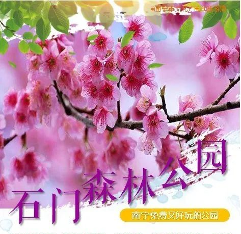 象湖濕地公園坐幾路公交車_象湖濕地公園游玩攻略_象湖濕地公園要門票嗎