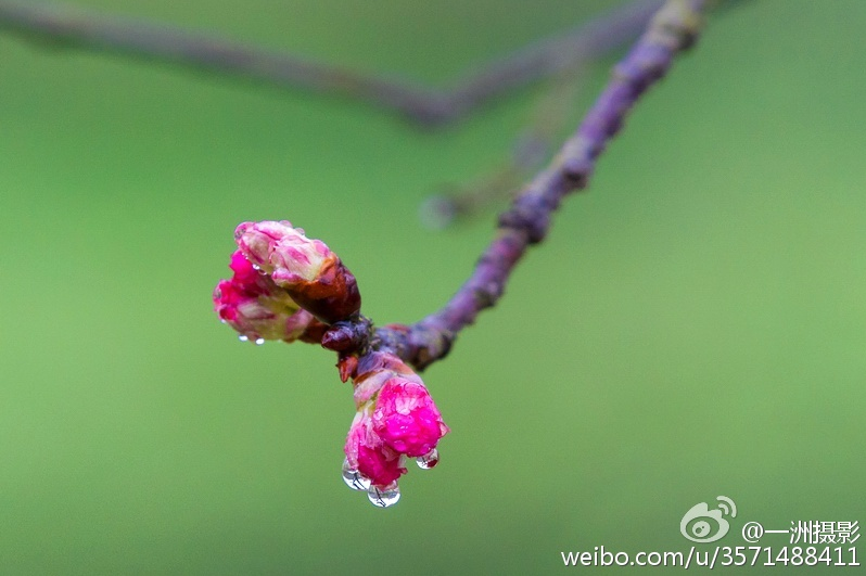 象湖濕地公園要門票嗎_象湖濕地公園坐幾路公交車_象湖濕地公園游玩攻略