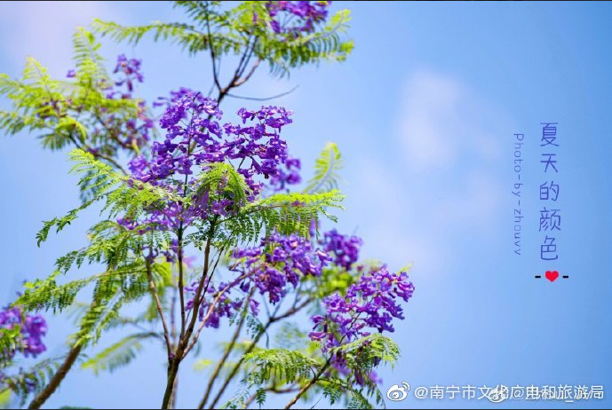 象湖濕地公園坐幾路公交車_象湖濕地公園游玩攻略_象湖濕地公園要門票嗎