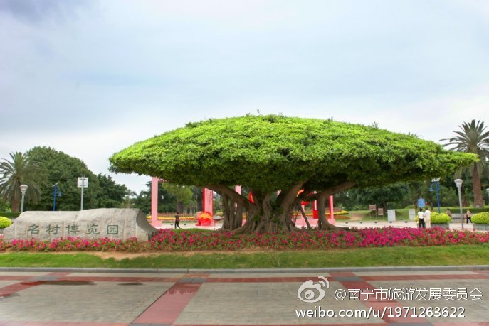 象湖濕地公園要門票嗎_象湖濕地公園游玩攻略_象湖濕地公園坐幾路公交車