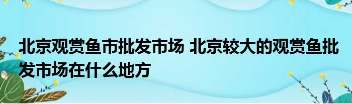北京觀賞魚(yú)市批發(fā)市場(chǎng) 北京較大的觀賞魚(yú)批發(fā)市場(chǎng)在什么地方