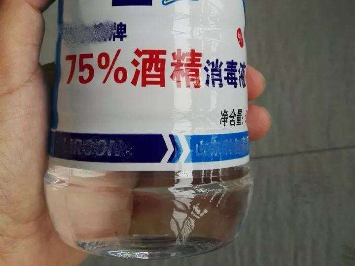多肉長(zhǎng)白蟲子用什么藥效果好_多肉長(zhǎng)白蟲_多肉植物白蟲子