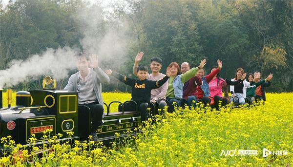 仙湖度假區(qū)有什么玩的_仙湖旅游度假區(qū)_仙湖度假區(qū)游玩攻略