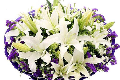 養百合花的寓意_百合花養幾支最吉利_百合吉利支養花期多久