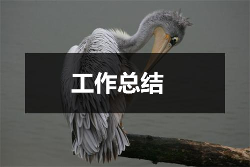 大學(xué)學(xué)生會(huì)辦公室工作總結(jié)怎么寫及范文四篇