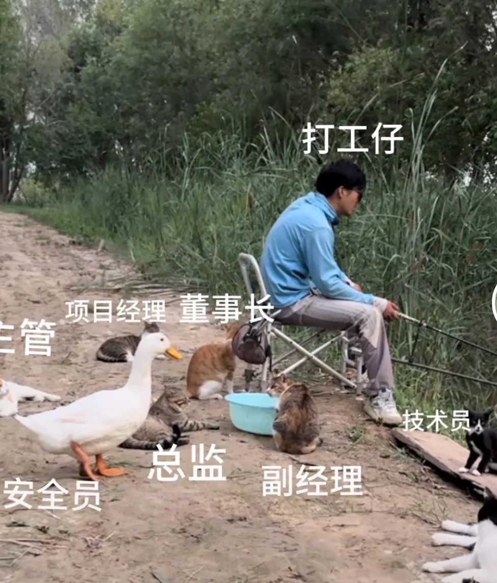 貓成年期是幾個(gè)月_成貓是幾個(gè)月_成貓是幾個(gè)月到幾個(gè)月
