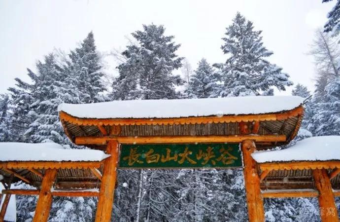 長白山滑雪旅游攻略費用_長白山滑雪旅游攻略_滑雪長白山