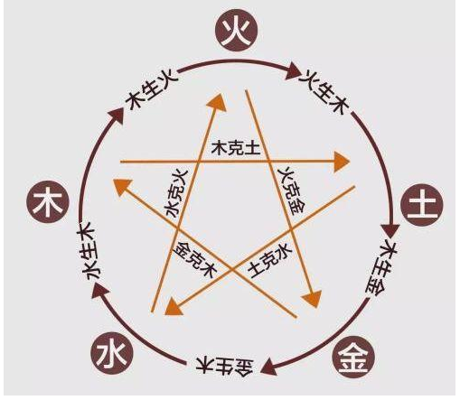大貓觀賞魚_觀賞魚大貓吃什么_大貓魚怎么養
