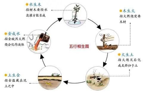 大貓魚怎么養_觀賞魚大貓吃什么_大貓觀賞魚