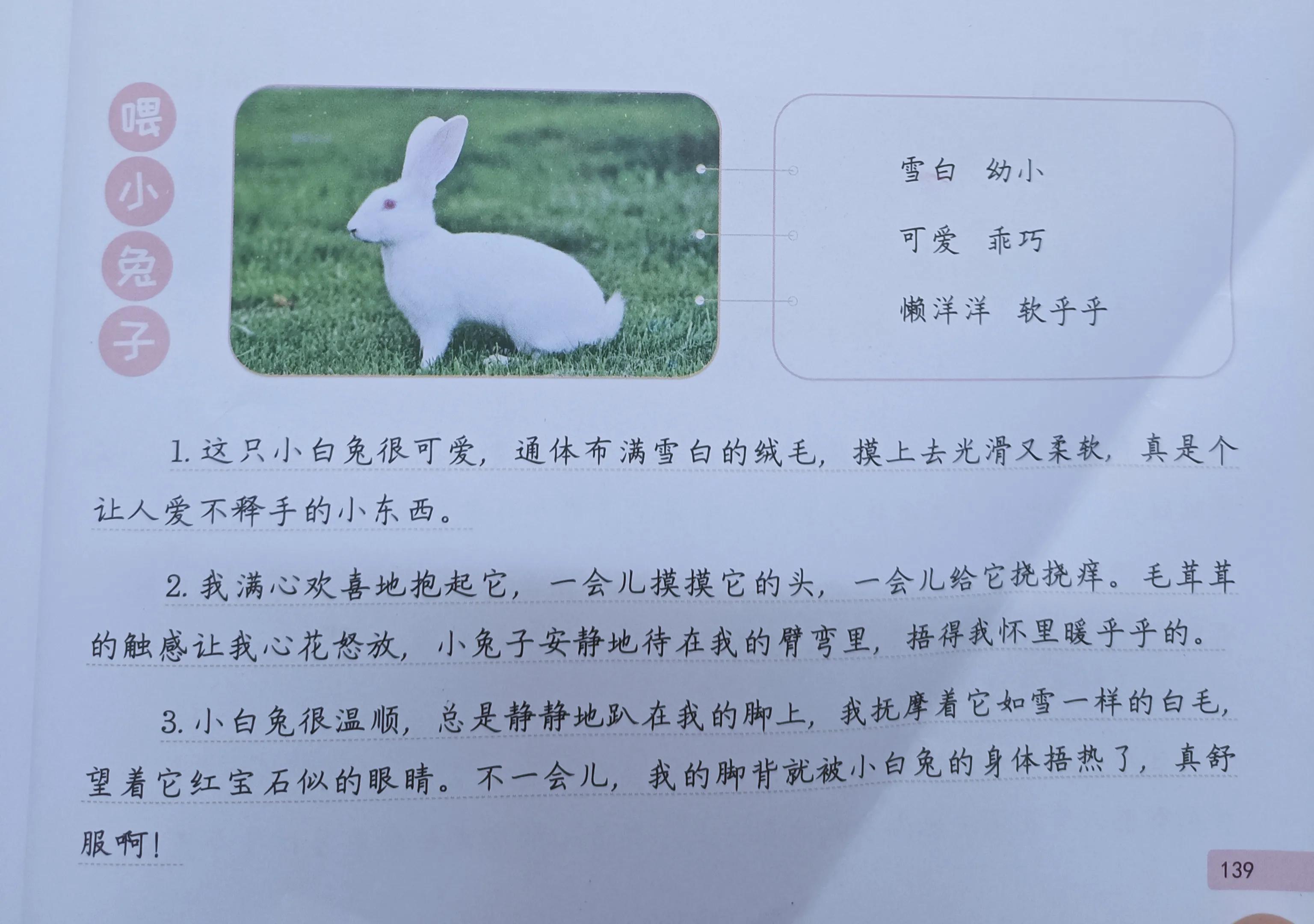 年級(jí)作文大全_年級(jí)學(xué)生作文_二年級(jí)作文寫(xiě)作