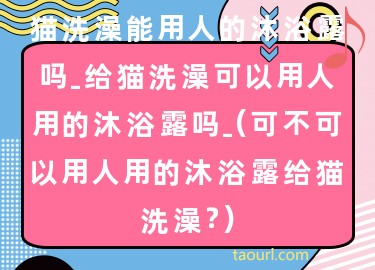 貓洗澡能用人的沐浴露嗎-給貓洗澡可以用人用的沐浴露嗎-(可不可以用人用的沐浴露給貓洗澡？)