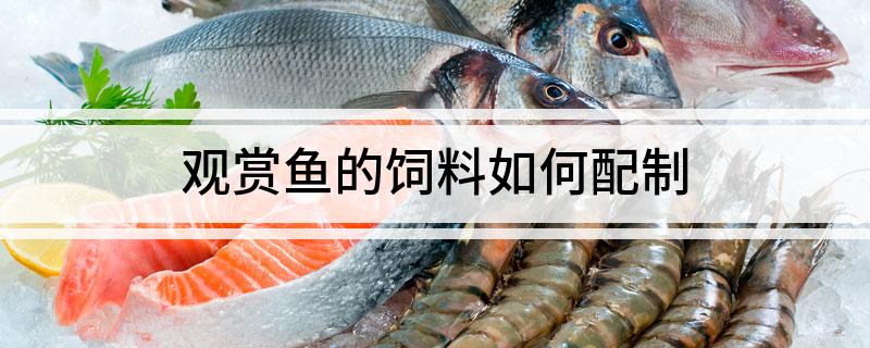 觀賞魚的飼料如何配制