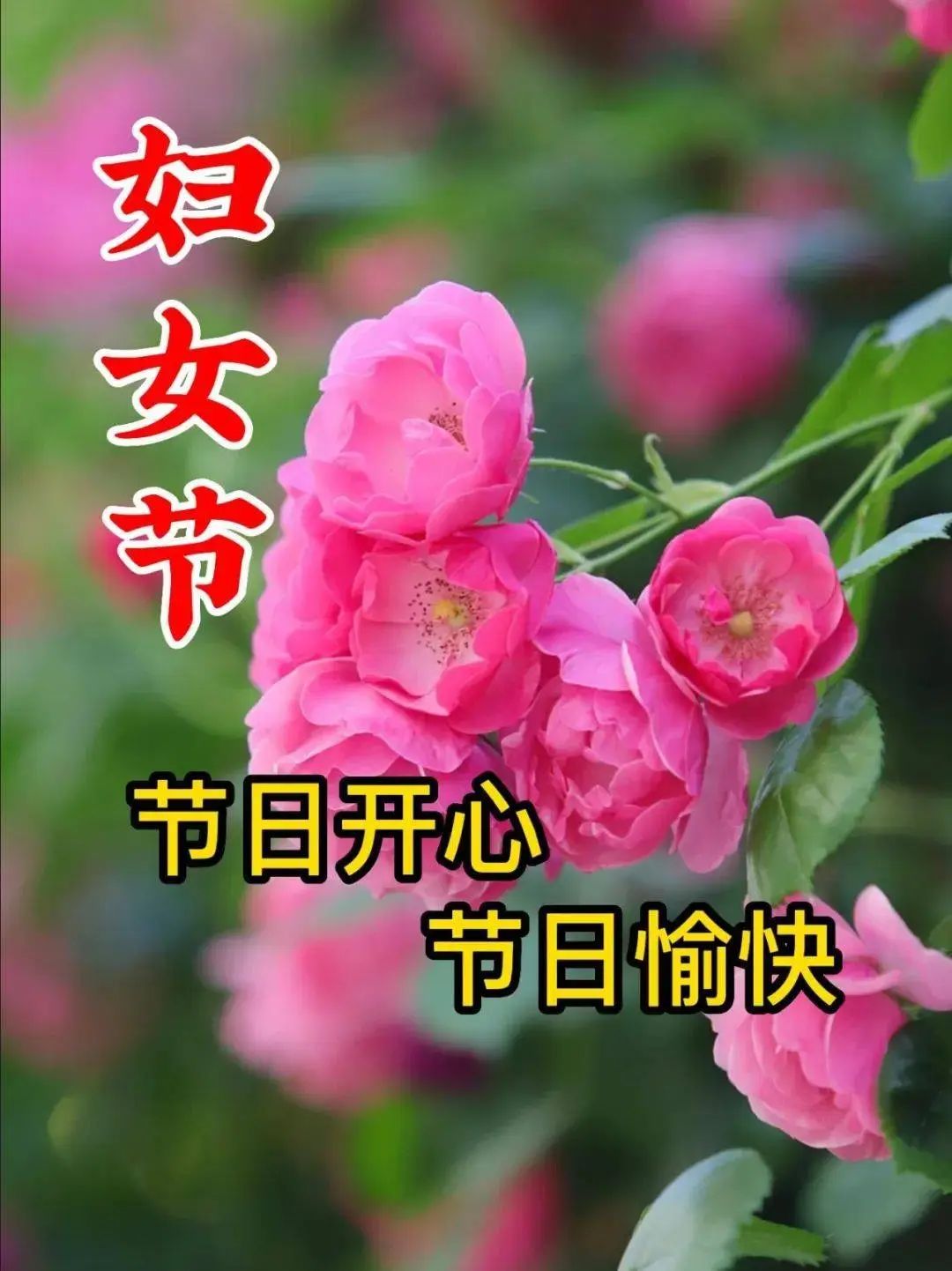 砉節祝福圖_節日祝福圖片大全下載_三八節快樂祝福圖片