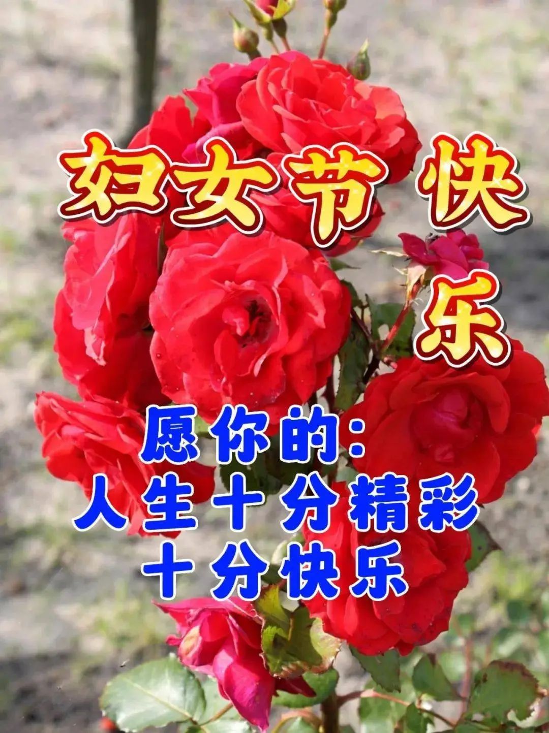 三八節快樂祝福圖片_節日祝福圖片大全下載_砉節祝福圖