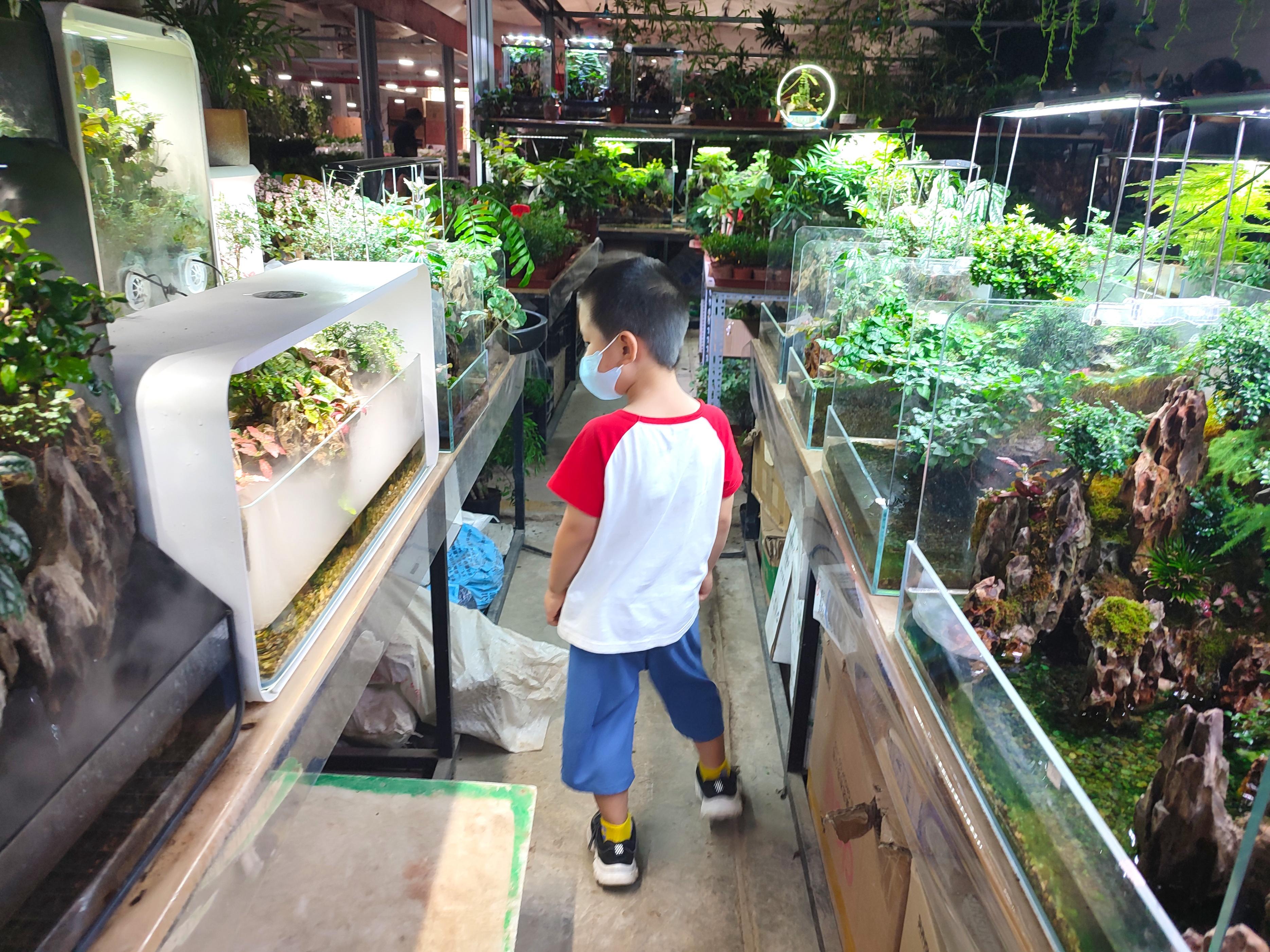北京賣觀賞魚的市場_北京觀賞魚批發(fā)市場在哪里_批發(fā)觀賞魚北京市場地址