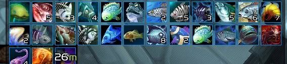 觀賞金魚魚活魚能吃嗎_金魚活魚觀賞魚_觀賞金魚魚活魚怎么養