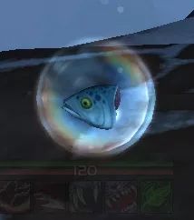 金魚活魚觀賞魚_觀賞金魚魚活魚能吃嗎_觀賞金魚魚活魚怎么養